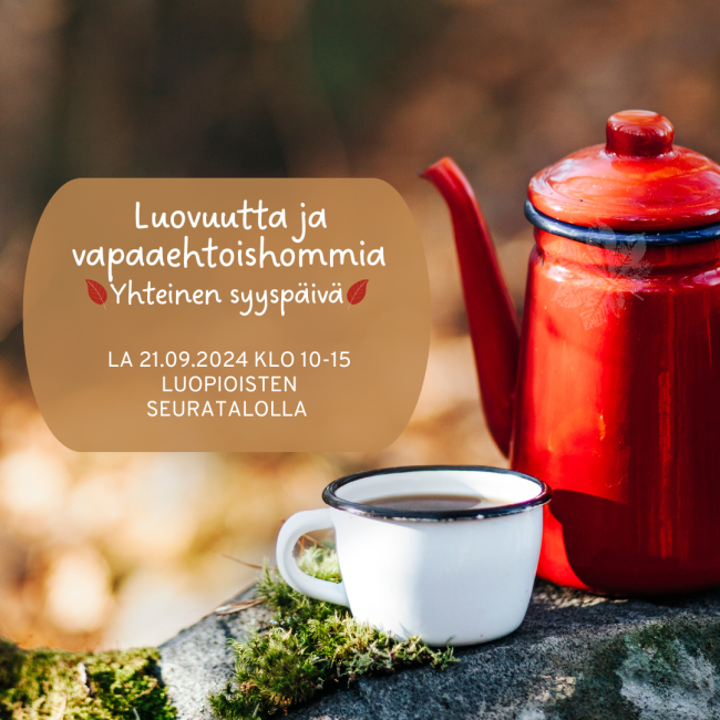 Luovuutta ja vapaaehtoishommia